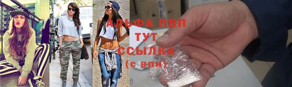 винт Алзамай