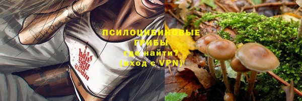 винт Алзамай