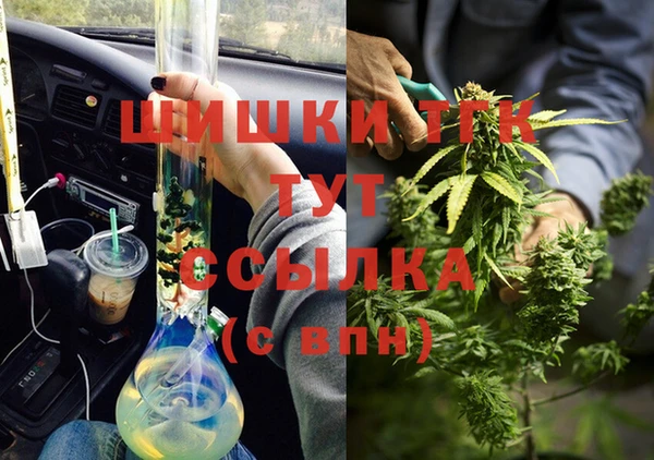 винт Алзамай