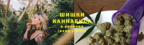 винт Алзамай