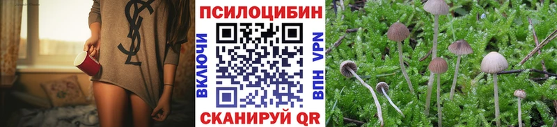 Купить закладки  Грайворон  Галлюциногенные грибы Magic Shrooms 